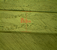 Picture5.png