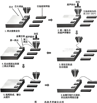 微信图片_2026-06-02_082943_998