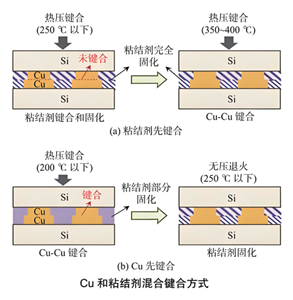 微信图片_2026-06-02_082938_180