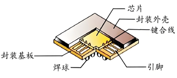 微信图片_2026-06-02_082857_988
